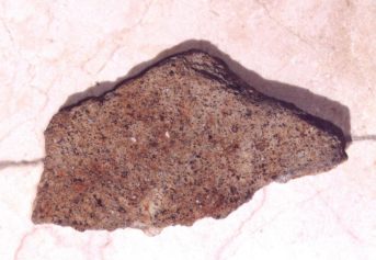 Dolium. cara interior.